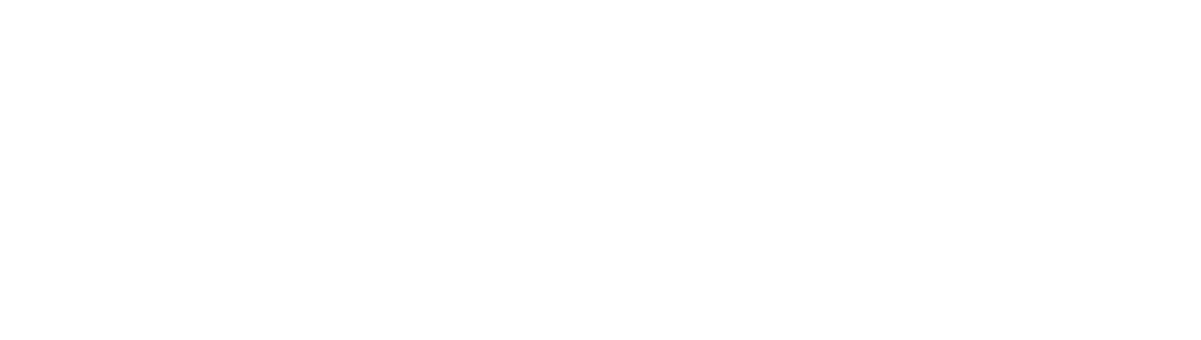Perfect Solution logo